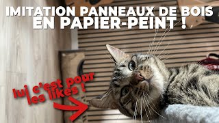 Poser un papier peint imitation panneaux de bois  TROP FACILE [upl. by Erle]