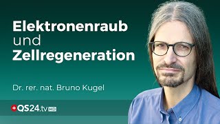 Silicium und Hochfrequenz Die faszinierende Verbindung für die Gesundheit  Naturmedizin  QS24 [upl. by Yarehs]