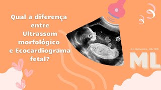 Qual a diferença entre ultrassom morfológico e ecocardiograma fetal [upl. by Otinauj]