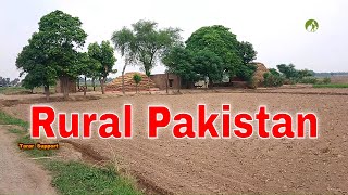 Village Life In Pakistan Daily Routine Work in 2020 [upl. by Lida]