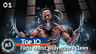 Top 10 Amazing Facts About Wolverines Claws  In Hindi [upl. by Eustis461]