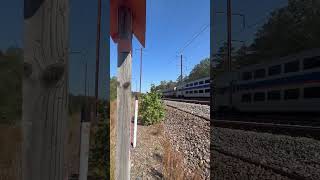 Marc Pennline Train 482 northbound to Baltimore with clean MP36PH3C locomotive 22 leading [upl. by Llennol]