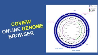 Bioinformatics for Beginners  Course  Genome visualization using the online CGView tool [upl. by Johnston125]