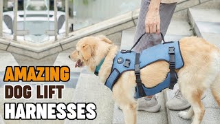 Dog Lift Harnesses  Most Popular Dog Lift Harnesses in Review [upl. by Irec]