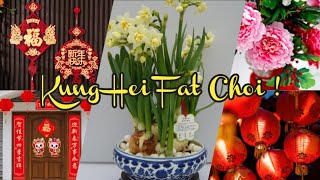 CHINESE NEW YEAR DECORS AND ITS MEANING  YEAR OF THE DRAGON [upl. by Leland892]