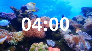 4 Minute Timer Relaxing Music Lofi Fish Background [upl. by Renmus193]