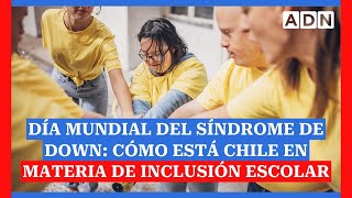 Día Mundial del Síndrome de Down cómo está Chile en materia de inclusión escolar [upl. by Rhoads]