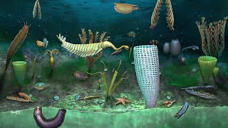 What Was Life Like During The Cambrian Period  Part 2 [upl. by Corry]