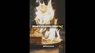 Lets know aboutThe HaberBosch Process CHEMIWIZARD⚗️ trending shorts chemistry chemiwizard [upl. by Liarret274]