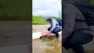 Clearing the Drain Unclogging Storm Drains to Restore Flow [upl. by Eintirb]