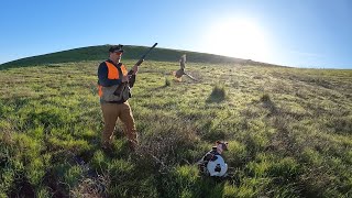 CHUKAR HEAVEN chukarhunting chukar hunting gsp birdhunt birddog hunters uplandhunting hunt [upl. by Eiramyma399]