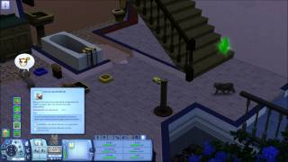 Lets Play Die Sims 3 Einfach Tierisch 021 Kontakte knüpfen [upl. by Narrat814]