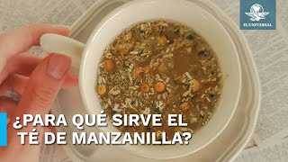 El té de manzanilla y sus múltiples beneficios [upl. by Cyprio966]