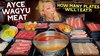 HOW MANY PLATES CAN I EAT UNLIMITED WAGYU MEAT at Shabu Wara in Chino CA RainaisCrazy [upl. by Ayres154]