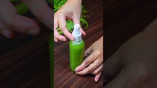 Summer Special Homemade Neem Facewash For Acne Free Glowing Skin shorts [upl. by Akiret]