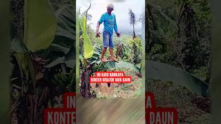 Netizen Tercengang Melihat Pria Naik Daun Pisang [upl. by Aisac]