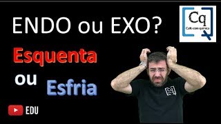 Termoquimica Reação endo ou exo [upl. by Nylarak]