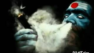 Ganja song  Vole Baba ganja song Bhole nath [upl. by Octavla]