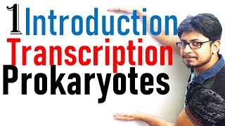 Transcription in prokaryotes introduction  Transcription lecture 1 [upl. by Idihc785]