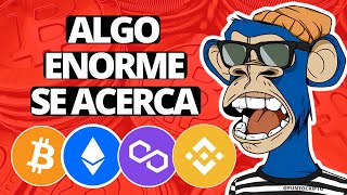 ✅SE APODERAN DE BITCOIN😱Noticias Criptomonedas HOYEthereum Polygon BNB Shiba Inu PEPE [upl. by Rubi290]