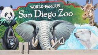 Visiting The San Diego Zoo in HD [upl. by Ecirtal]