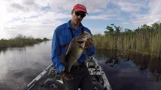 How to catch Largemouth Bass on a Zara Spook [upl. by Suelo]