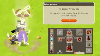 DOFUS RETRO TEMPORIS III 13  UP 200 amp RAMBOTON [upl. by Olmsted836]