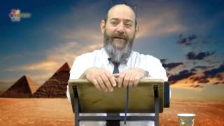 Parshat Mikeitz Pharaohs Dream  Rabbi David Kaplan [upl. by Wing]