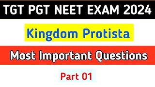 Kingdom Protista MCQ  Biological Classification MCQ  Class 11  NEET 2024 [upl. by Hazen975]