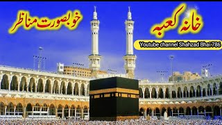 Mashallah bohet pyari video 📷 video achi lgy to channel ko subscribe kery or billicon dabay 🌹🌺 [upl. by Ernest]