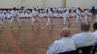 Jion Kata  Escuela Miyazato 2017 [upl. by Bianka]