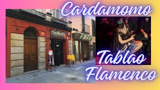 CARDAMOMO TABLAO FLAMENCO MADRID [upl. by Kristel931]