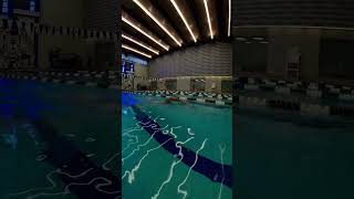 Smooth relaxed and easy freestyle swimming swimming [upl. by Annaeel11]