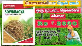 அதிக விலை போகக் கூடியவர்கள்  ஒரு மூட்டை 2000 முதல் 2500 வரை  Mahindra SOWBHAGYA paddy seeds tamil [upl. by Esinrahc]