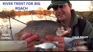 ROACH ON THE RIVER TRENT Winter Feeder Fishing Natural Venue Chub Bream Lampray Boats [upl. by Ojibbob]