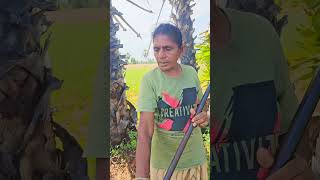 farming 🌀 கண்டிப்பா Twist இருக்கு 🤭just for fun 🤣 dailyvlog [upl. by Hillel]