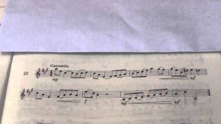 Violin Grade 4 Sight Reading No 22 Cantabile [upl. by Nonnad]