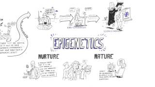 Epigenetics Nature vs nurture [upl. by Esten]