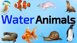 20 Water Animals Name in Hindi and English  पानी में रहने वाले जीवों के नाम  Water Animals [upl. by Ahcilef159]