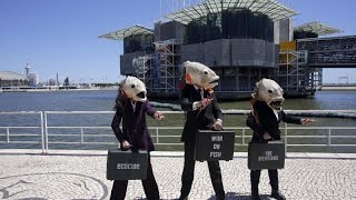 Les océans en quotétat durgencequot alerte lONU à la conférence de Lisbonne [upl. by Ansell]