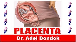 Placenta Dr Adel Bondok [upl. by Cletus885]