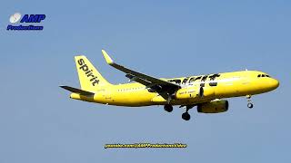 Spirit Airlines  planespotting 62824 [upl. by Cornwall470]