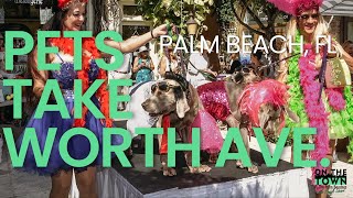 Palm Beachs ICONIC Worth Avenue A Haven for Dog Lovers and their Furry Friends [upl. by Kaliope]