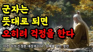 이런 자가 진정한 대장부이다  지혜를 얻는 묵자 채근담 톨스토이 괴테 플라톤 공자 법구경 셰익스피어 탈무드 명언  군자는 뜻대로 되면 오히려 걱정을 한다 [upl. by Kampmeier]