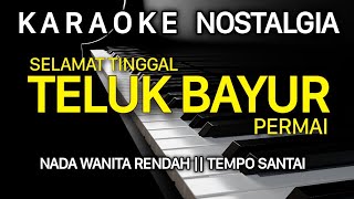 TELUK BAYUR Karaoke Nada Wanita  Ernie Djohan [upl. by Ainotahs]