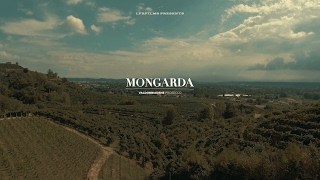 Mongarda  La nostra storia  Valdobbiadene Prosecco Superiore DOCG [upl. by Meryl]