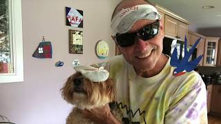 Make a 10 MINUTE bandana with elastic back SUPER EASY  COMFY [upl. by Wait]