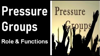 Role of Pressure groups or Functions of Pressure Groups [upl. by Drugi894]