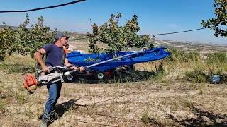 raccolta pistacchio azienta Brontefarming pistachio tractor [upl. by Sardella]