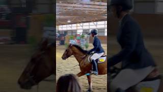 Skip did so good Dm the canter i was fighting for my life equines [upl. by Giralda]